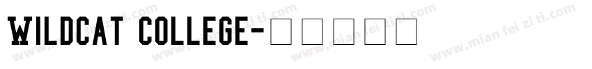 Wildcat College字体转换